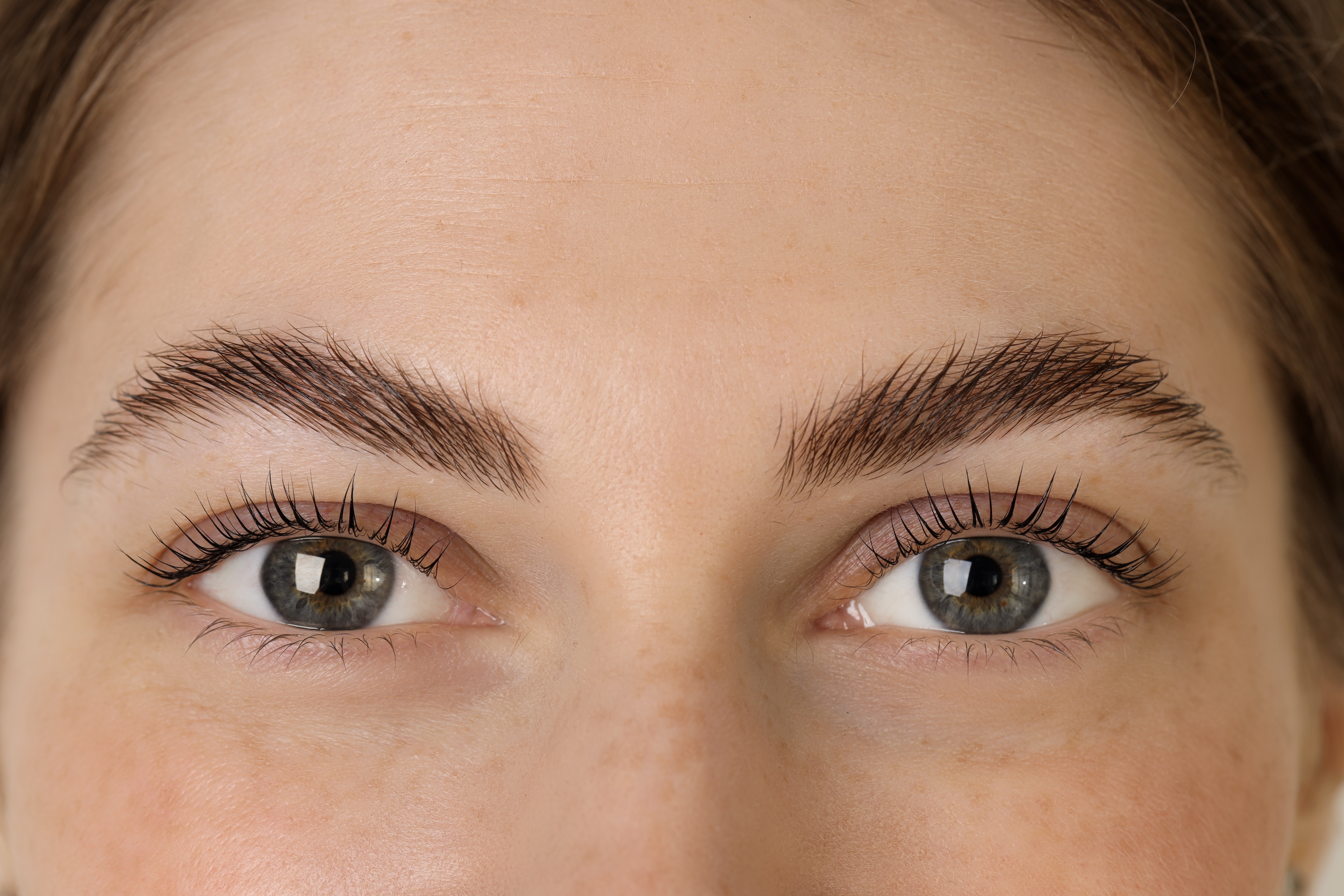 shutterstock_2546341349.jpg