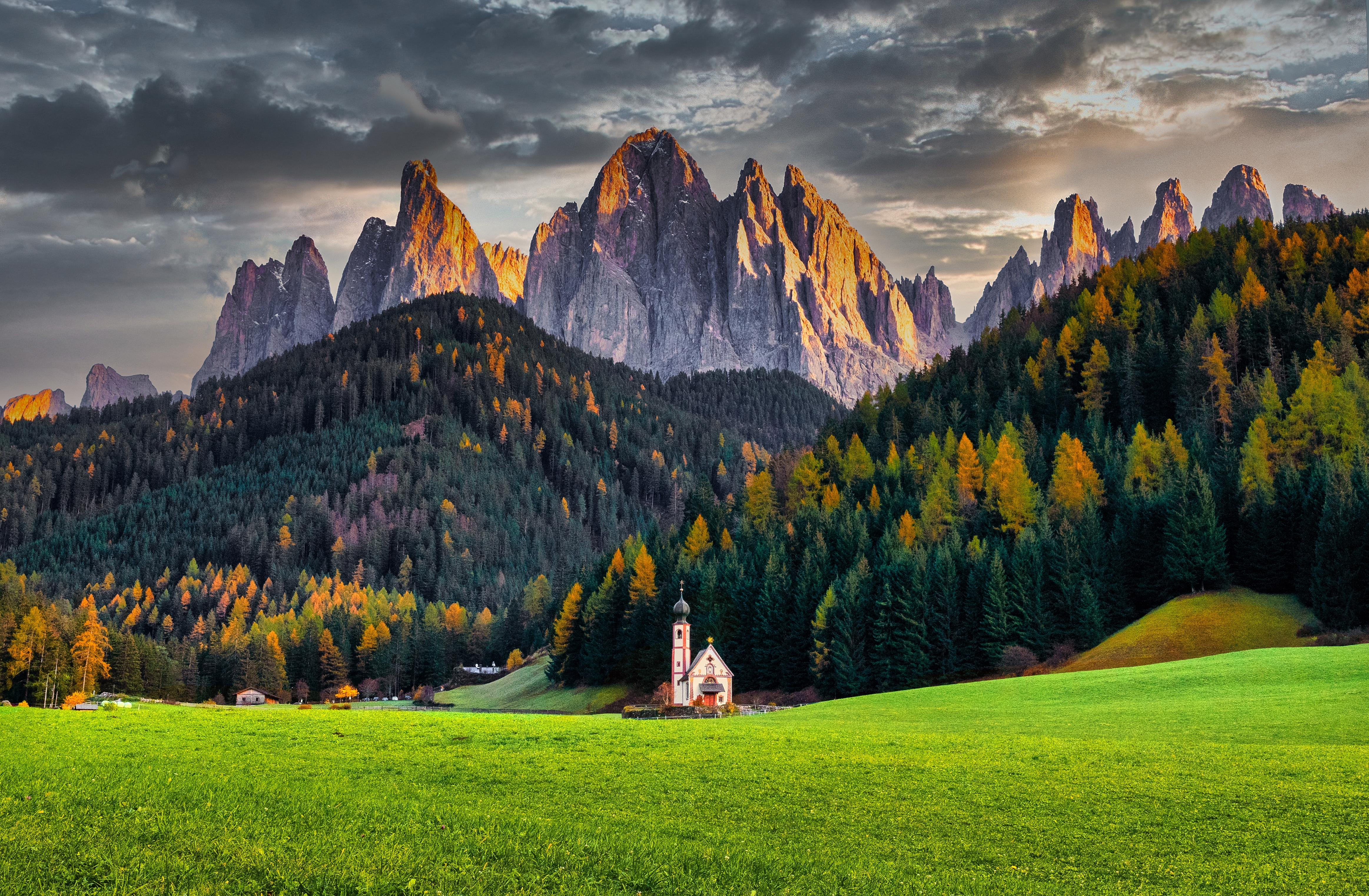 shutterstock_2582551385.jpg