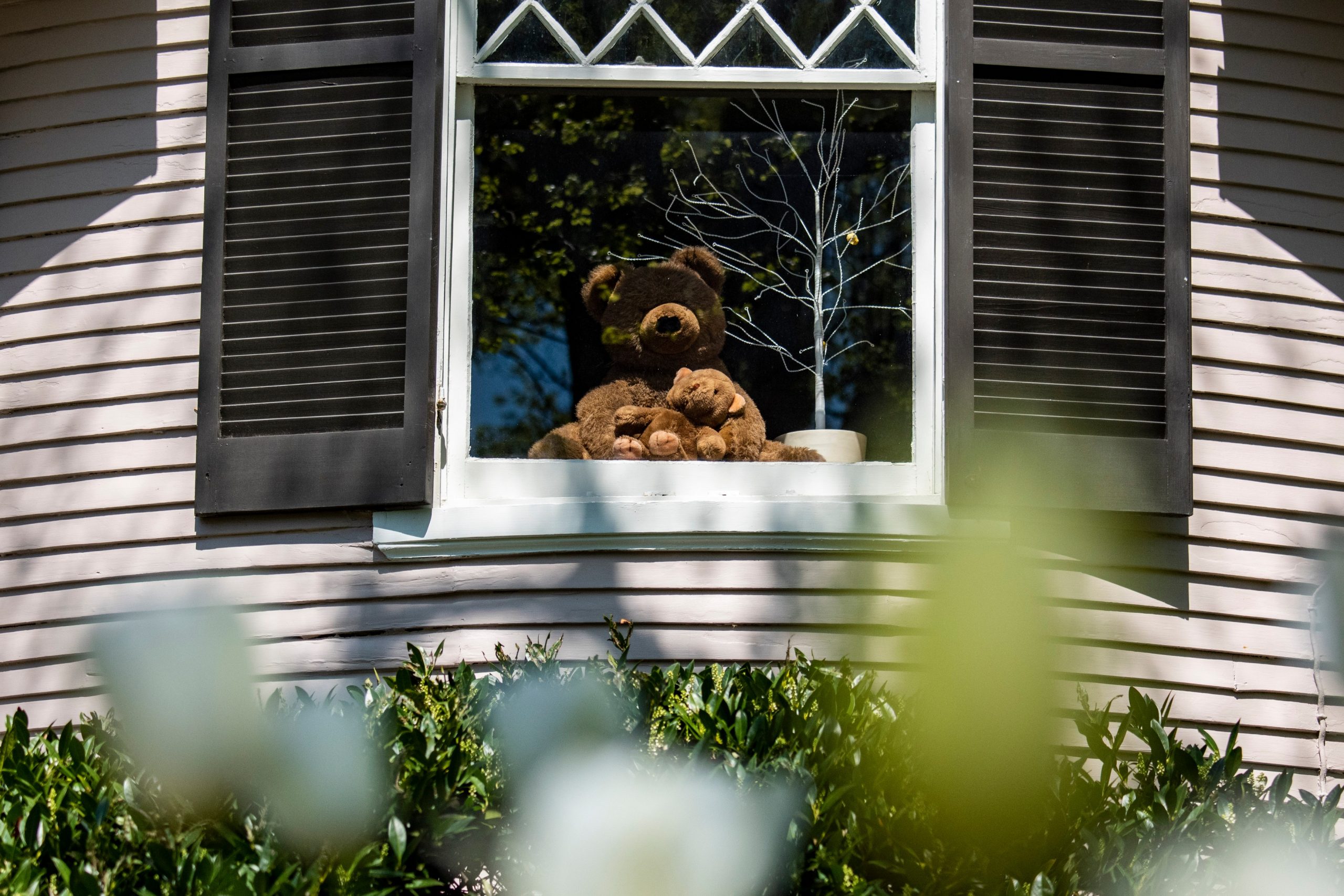Medvedići na prozorima