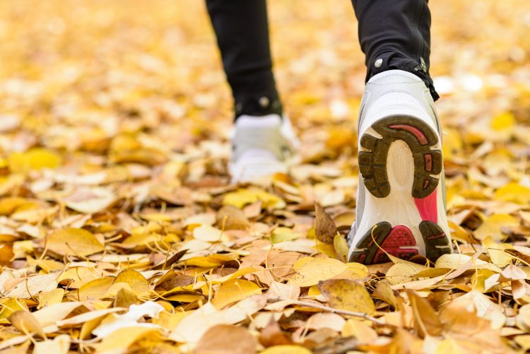 Šetnja, noge, jesen, lišće, Šta se dogodi sa telom ako hodate 60 minuta dnevno