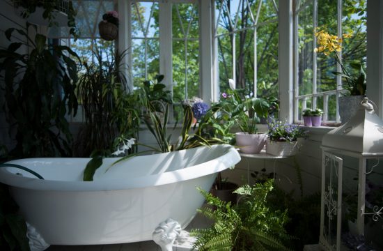 biljke kupatilo
