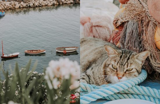 Procida