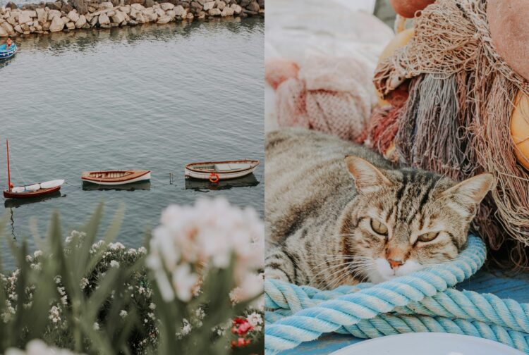 Procida