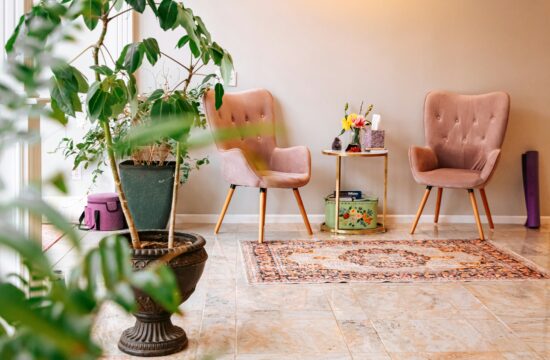 izdržljive sobne biljke