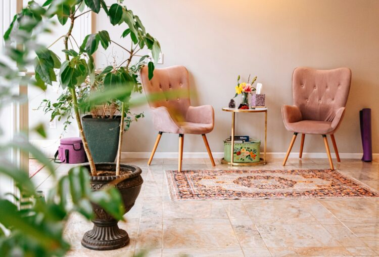 izdržljive sobne biljke