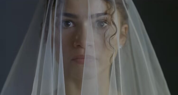 Zendaja je Devica u horoskopu