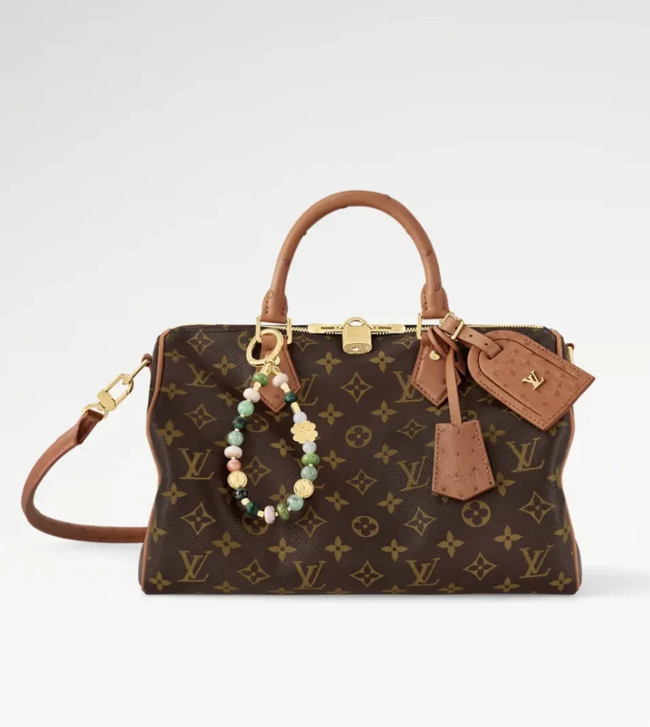 LOUIS VUITTON Speedy Soft 30 Boho Bag