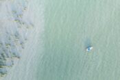 jezero Balaton